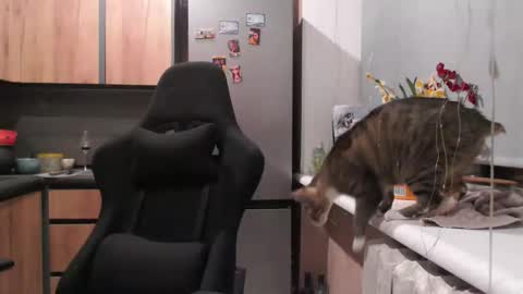 Sofi online show from April 19, 5:46 pm