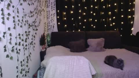 sofia_rosemary online show from February 3, 12:47 pm