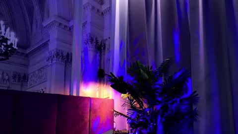 Sofia online show from January 24, 2:19 pm