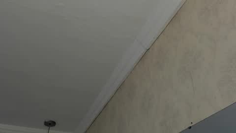 Sofi - next broadcast today 1030pm Colombia time online show from February 26, 4:52 am