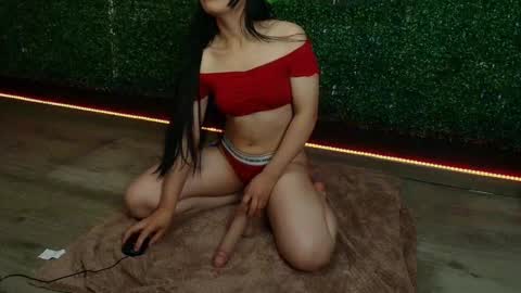    .   SOPHIE .       online show from November 5, 11:43 pm