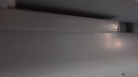 Spinerina online show from February 5, 5:09 am