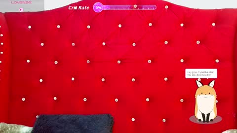 Star online show from November 26, 10:00 pm