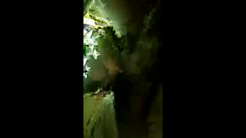 StarryWhispers online show from March 26, 2:14 am