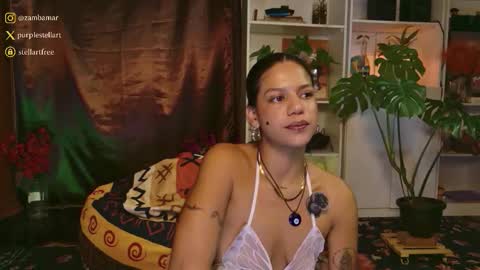 stellart_ online show from December 15, 12:27 am