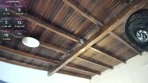 Alexa   online show from November 10, 11:05 am