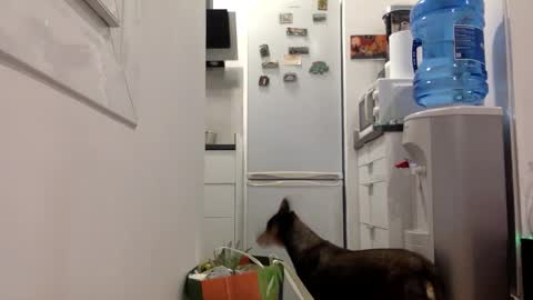 ALBA online show from November 22, 7:27 pm