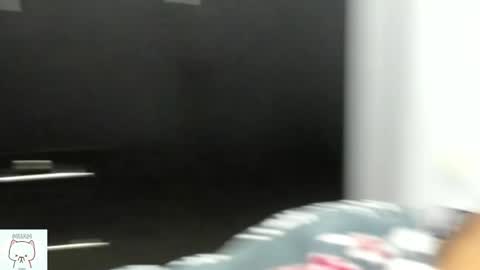 Nhaomy online show from September 27, 1:35 am