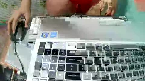 Delia online show from March 2, 5:08 am