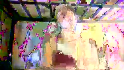 sweetdimple69 online show from November 17, 12:50 pm