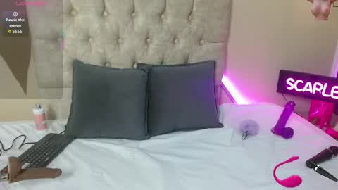 Scarlet online show from November 10, 12:44 pm