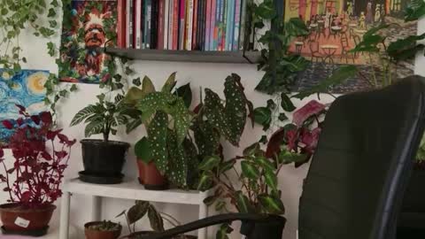 Tali Majid online show from March 27, 6:52 pm