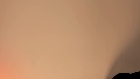 Tamara. online show from September 19, 5:50 am