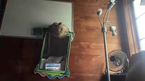 badgirltay online show from March 10, 4:03 pm