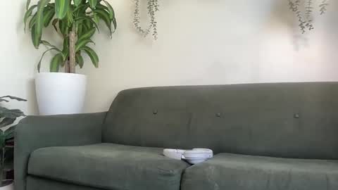 Taylor online show from October 16, 12:46 am