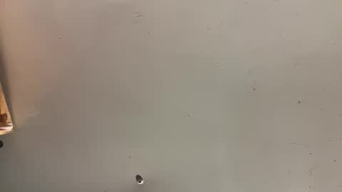 Come Have Fun online show from February 11, 7:15 pm