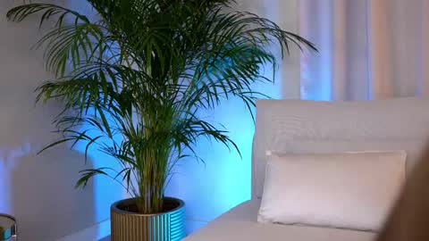 Anissa online show from February 6, 4:21 pm