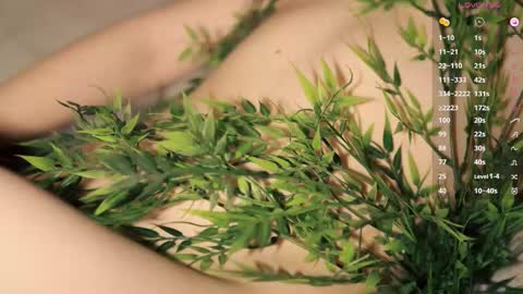 Toshi online show from February 8, 1:04 pm