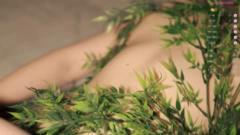 Toshi online show from January 31, 1:02 pm