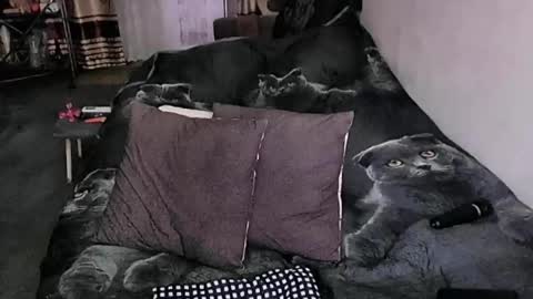 Lana online show from April 15, 10:54 pm