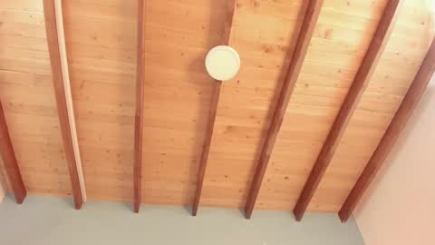 Twiggy online show from September 18, 8:40 pm