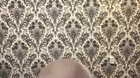 Grace online show from November 22, 2:42 pm