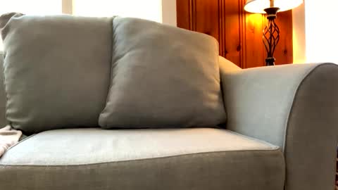 Tyler Sands online show from March 7, 3:49 pm