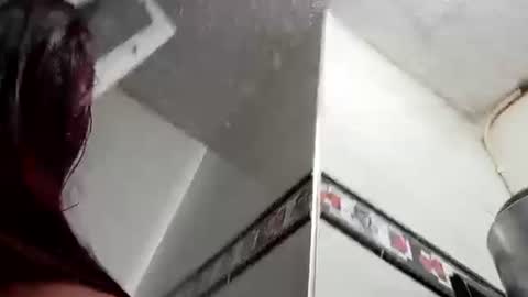   ---   online show from January 31, 6:14 pm