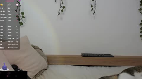  Crystal         PVT OPEN online show from January 26, 4:51 am