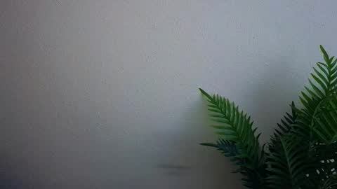 Ana online show from September 29, 12:10 pm