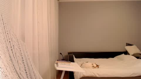 Amelia online show from February 5, 5:10 pm