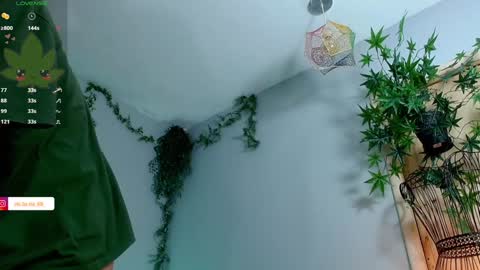 Victoria   online show from February 7, 8:53 pm