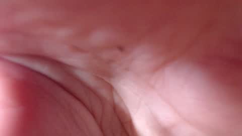 VictoryVega online show from September 11, 7:53 am