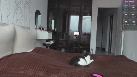 vinkitinkii online show from November 4, 7:24 am