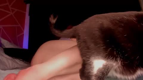 violetafetish online show from January 15, 3:11 am