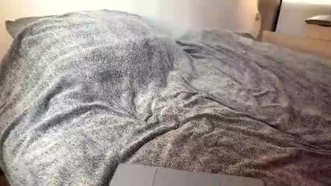 Mia online show from October 17, 11:02 am