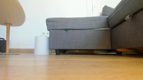 wet_pants2022 online show from March 18, 12:32 pm