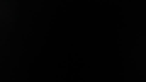 wuulmarpoltieer online show from December 5, 11:07 pm