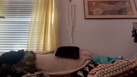 yanyanpixie online show from December 19, 3:59 pm