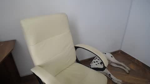 KAAL online show from December 12, 4:21 pm