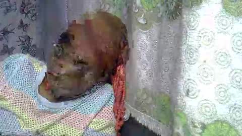 zarinamarlin online show from March 28, 8:14 am