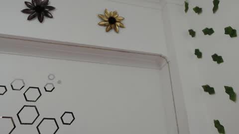 Carolina online show from October 20, 8:34 pm