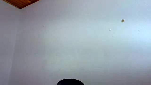 yasmin goldenst online show from February 9, 10:39 am