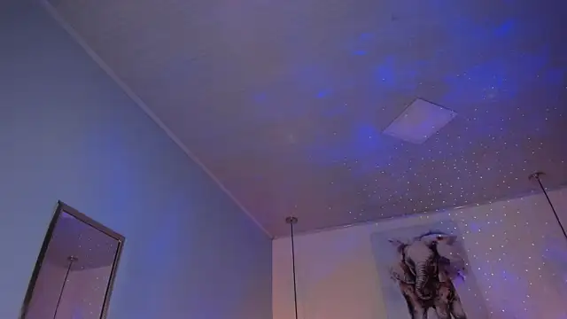 ayshel   online show from April 14, 8:47 am