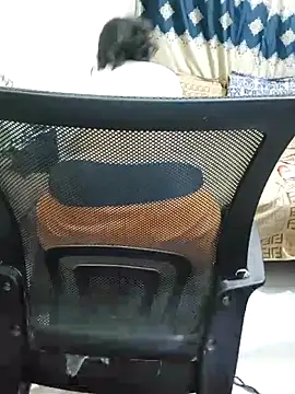 Adiba 2 online show from November 1, 6:23 pm