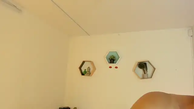 Paloma victory online show from February 8, 8:12 pm