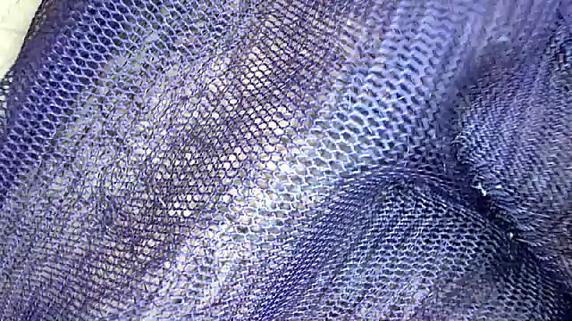 white sexy  online show from December 18, 12:48 am