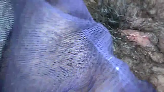 white sexy  online show from December 14, 11:32 pm