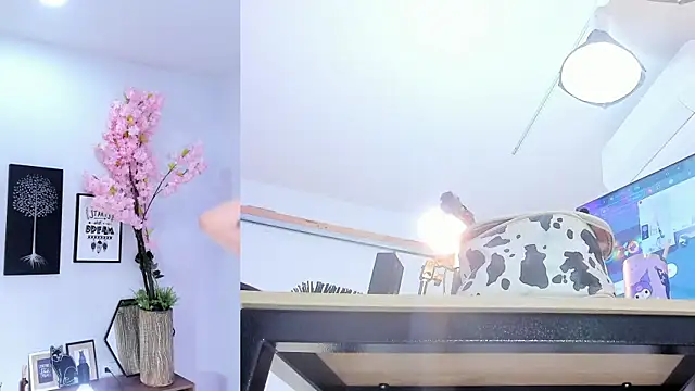 Siouxsie cenobite online show from December 16, 11:05 am