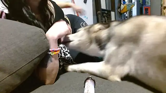 watermellonpussy online show from December 4, 4:48 am